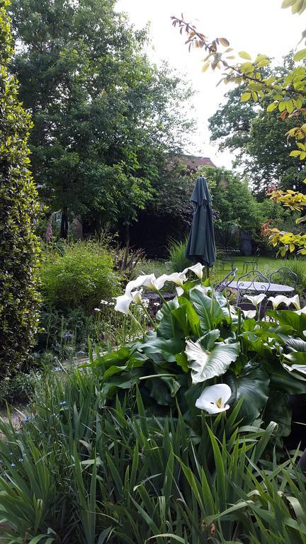 Bed and Breakfast La Gentilhommiere Chantepie Zewnętrze zdjęcie